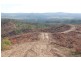 Somerset Pines, Bobs Creek Rd, Carabost, Tumbarumba NSW 2653