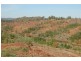 Somerset Pines, Bobs Creek Rd, Carabost, Tumbarumba NSW 2653