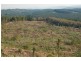 Somerset Pines, Bobs Creek Rd, Carabost, Tumbarumba NSW 2653