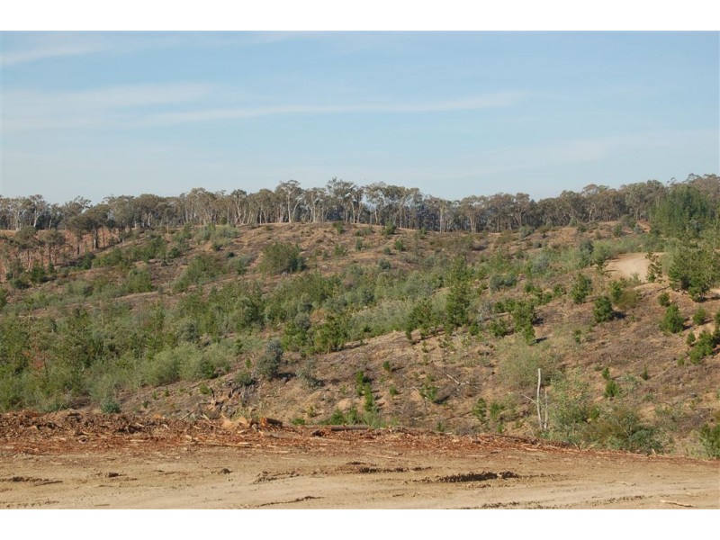 Somerset Pines, Bobs Creek Rd, Carabost, Tumbarumba NSW 2653