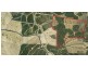 Somerset Pines, Bobs Creek Rd, Carabost, Tumbarumba NSW 2653