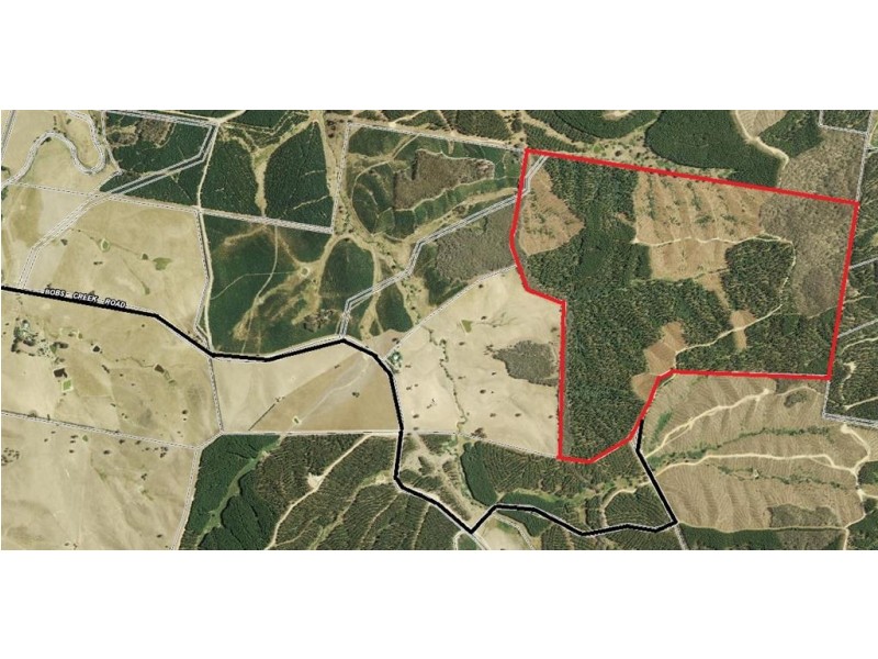 Somerset Pines, Bobs Creek Rd, Carabost, Tumbarumba NSW 2653
