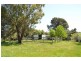 Mungarra Pulletop Road, Cookardinia, Wagga Wagga NSW 2650