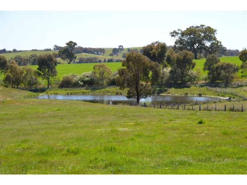 Mungarra Pulletop Road, Cookardinia, Wagga Wagga NSW 2650