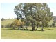 Mungarra Pulletop Road, Cookardinia, Wagga Wagga NSW 2650