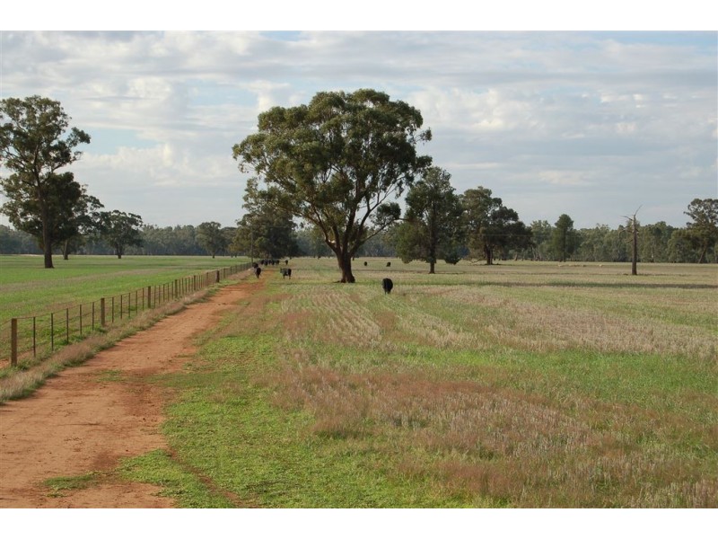 Wagga Wagga NSW 2650