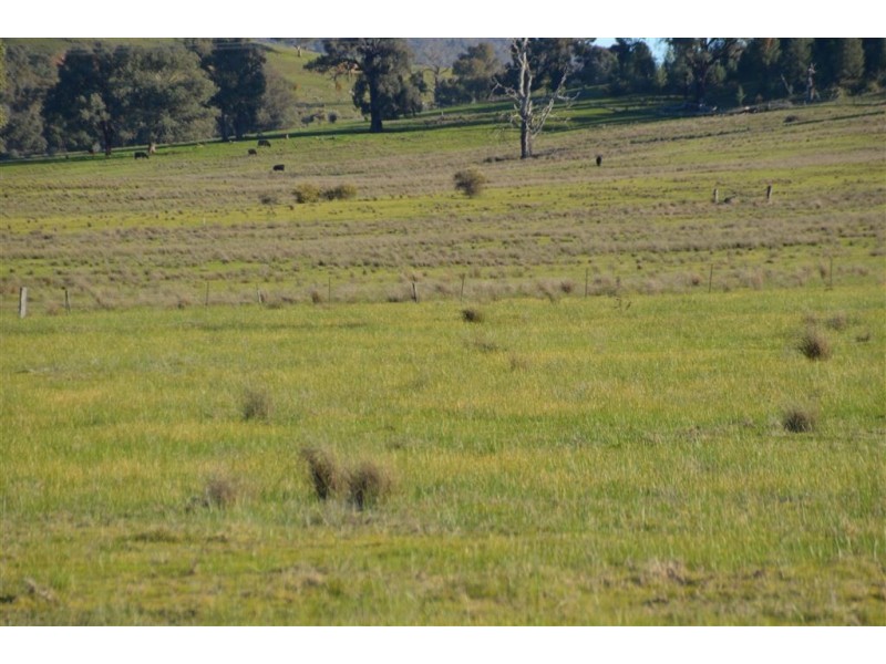 952 Big Springs Road, Wagga Wagga NSW 2650