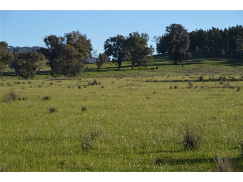 952 Big Springs Road, Wagga Wagga NSW 2650