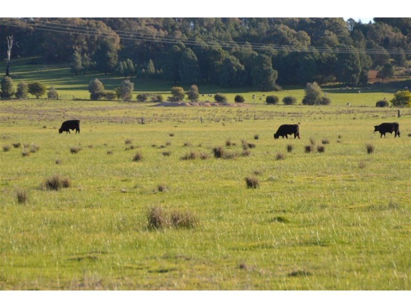 952 Big Springs Road, Wagga Wagga NSW 2650