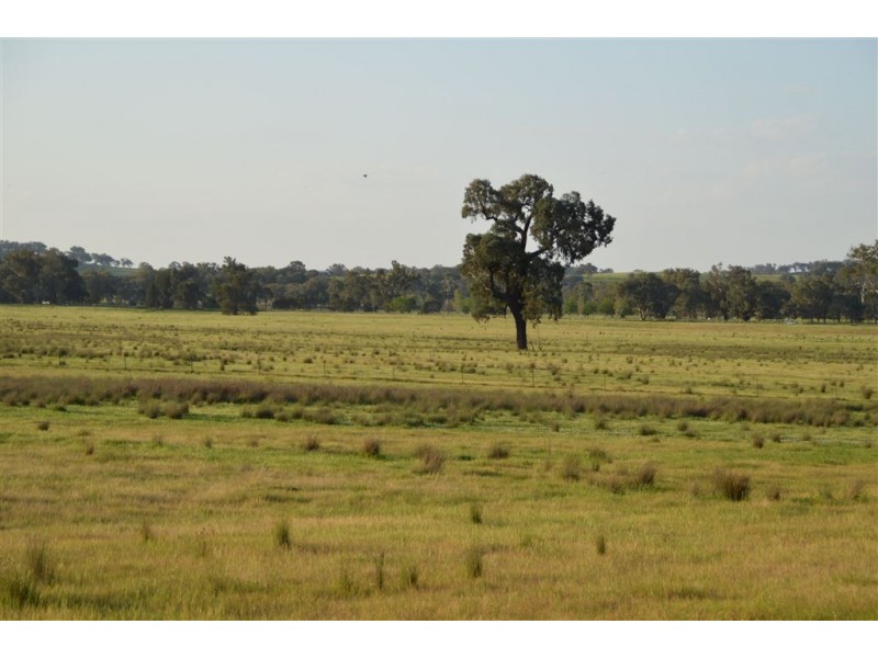 952 Big Springs Road, Wagga Wagga NSW 2650