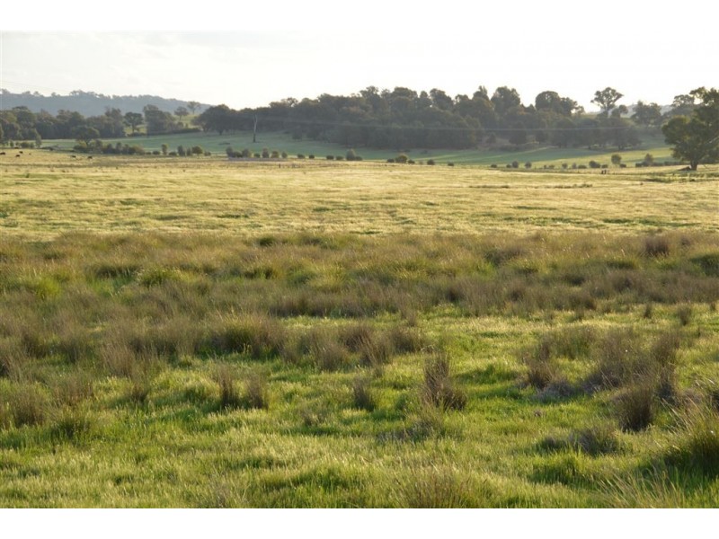 952 Big Springs Road, Wagga Wagga NSW 2650
