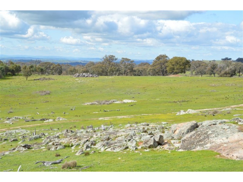 123 Gelston Heights Road, Wagga Wagga NSW 2650