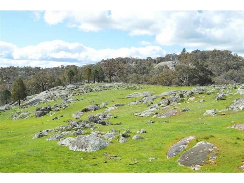 123 Gelston Heights Road, Wagga Wagga NSW 2650