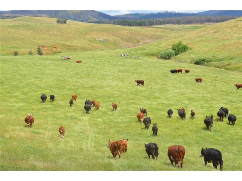 Wagga Wagga NSW 2650