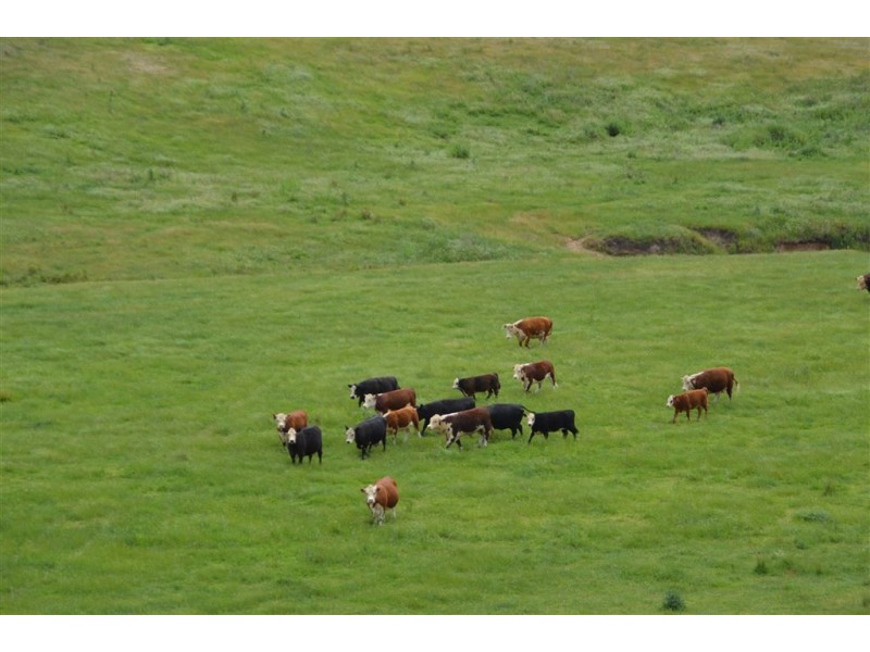 Wagga Wagga NSW 2650