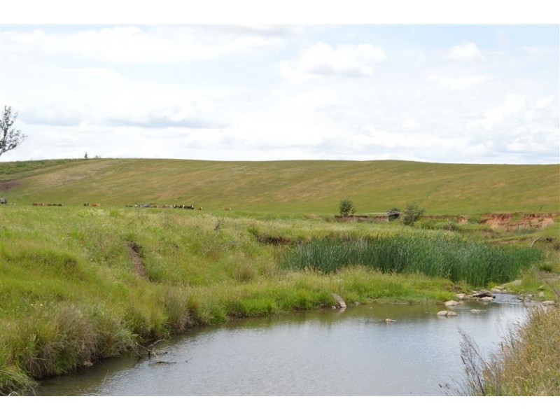 Wagga Wagga NSW 2650