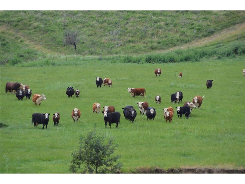 Wagga Wagga NSW 2650