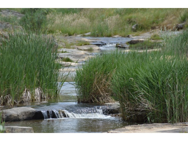 Wagga Wagga NSW 2650