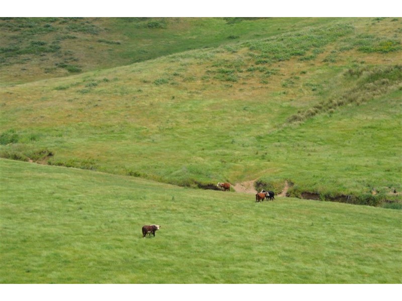 Wagga Wagga NSW 2650