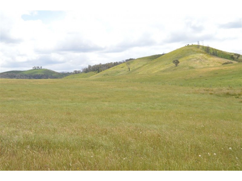 Wagga Wagga NSW 2650