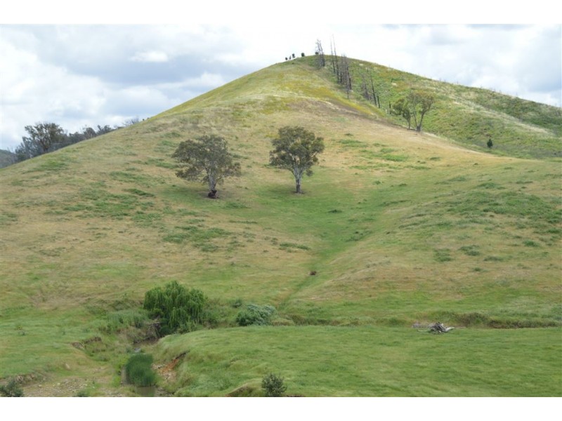 Wagga Wagga NSW 2650