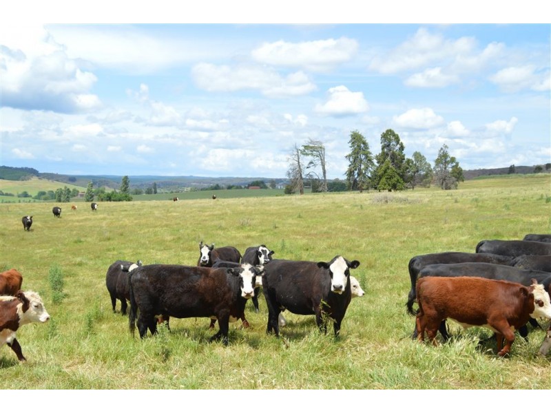 Wagga Wagga NSW 2650