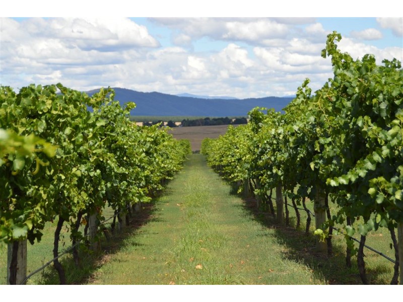 3486 Jingellic Road, Mannus via, Tumbarumba NSW 2653