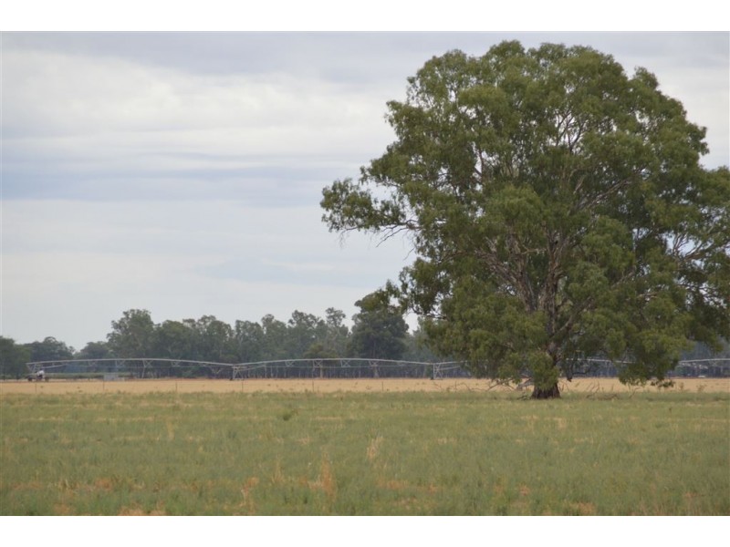 Narrandera NSW 2700