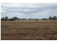 Narrandera NSW 2700