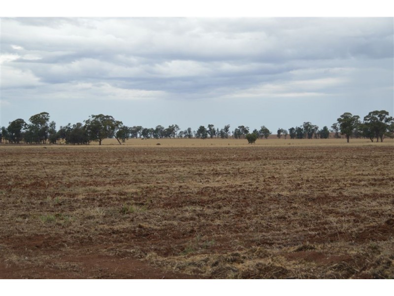 Narrandera NSW 2700