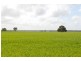 Thornleigh 1631 Faithfull Road, Sandigo via, Narrandera NSW 2700