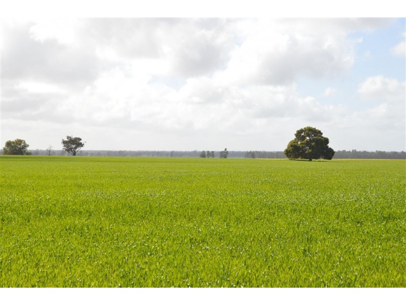 Thornleigh 1631 Faithfull Road, Sandigo via, Narrandera NSW 2700