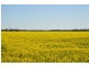 Thornleigh 1631 Faithfull Road, Sandigo via, Narrandera NSW 2700