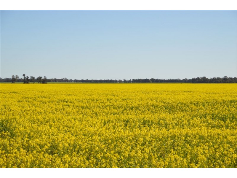 Thornleigh 1631 Faithfull Road, Sandigo via, Narrandera NSW 2700