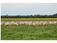 Thornleigh 1631 Faithfull Road, Sandigo via, Narrandera NSW 2700