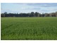 Thornleigh 1631 Faithfull Road, Sandigo via, Narrandera NSW 2700