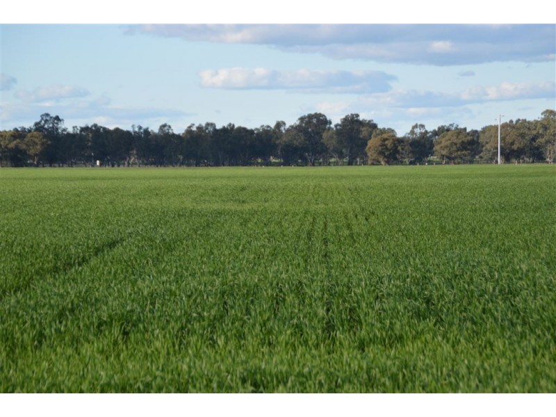 Thornleigh 1631 Faithfull Road, Sandigo via, Narrandera NSW 2700