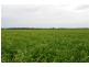Thornleigh 1631 Faithfull Road, Sandigo via, Narrandera NSW 2700