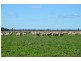 Thornleigh 1631 Faithfull Road, Sandigo via, Narrandera NSW 2700