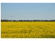 Thornleigh 1631 Faithfull Road, Sandigo via, Narrandera NSW 2700