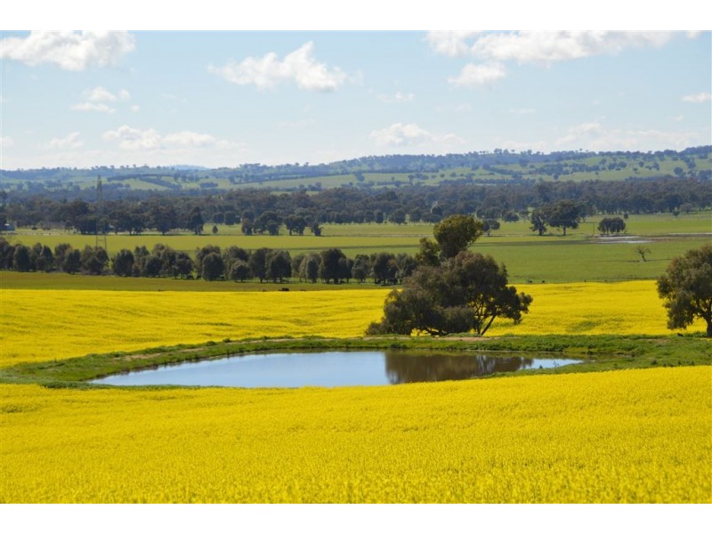 Gregadel Gregadoo via, Wagga Wagga NSW 2650