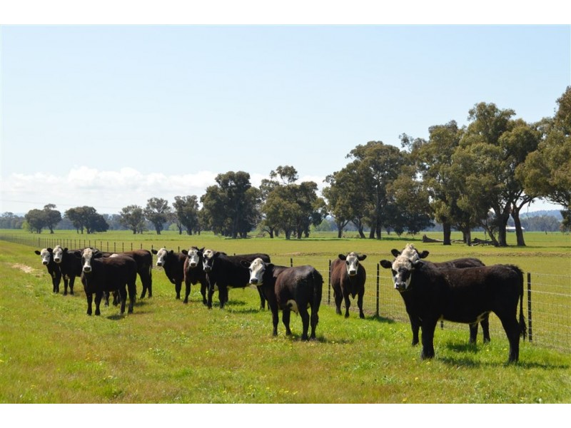 Gregadel Gregadoo via, Wagga Wagga NSW 2650