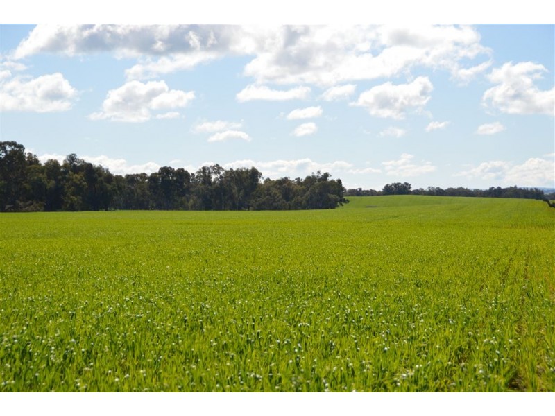 Gregadel Gregadoo via, Wagga Wagga NSW 2650