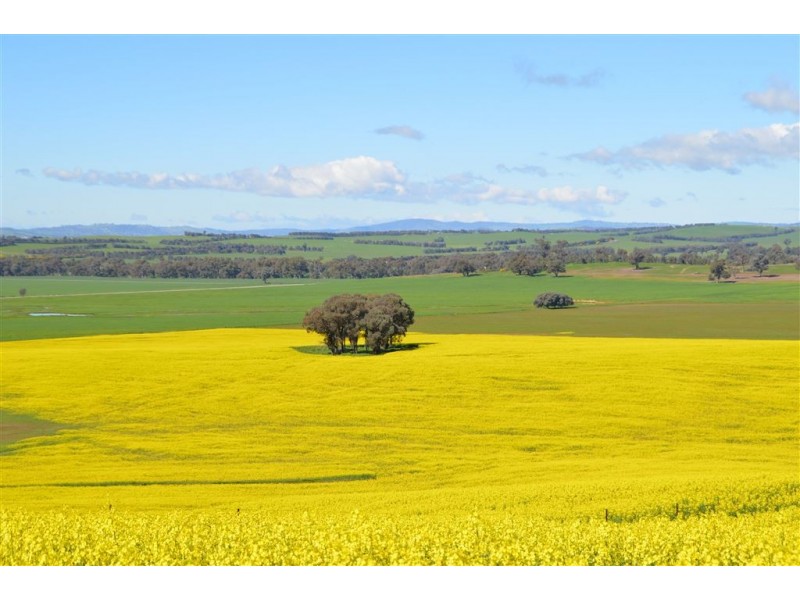 Gregadel Gregadoo via, Wagga Wagga NSW 2650