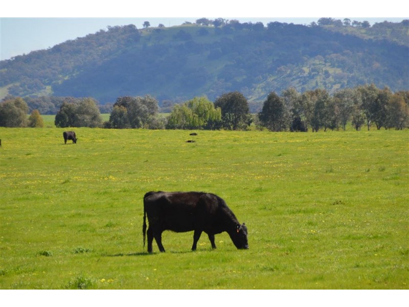 Gregadel Gregadoo via, Wagga Wagga NSW 2650