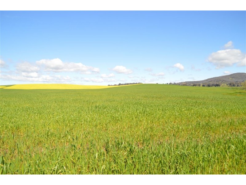 Gregadel Gregadoo via, Wagga Wagga NSW 2650