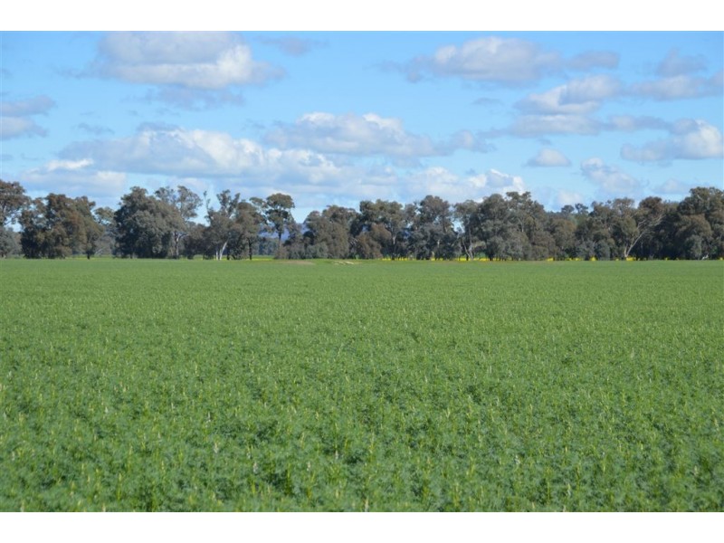 Gregadel Gregadoo via, Wagga Wagga NSW 2650