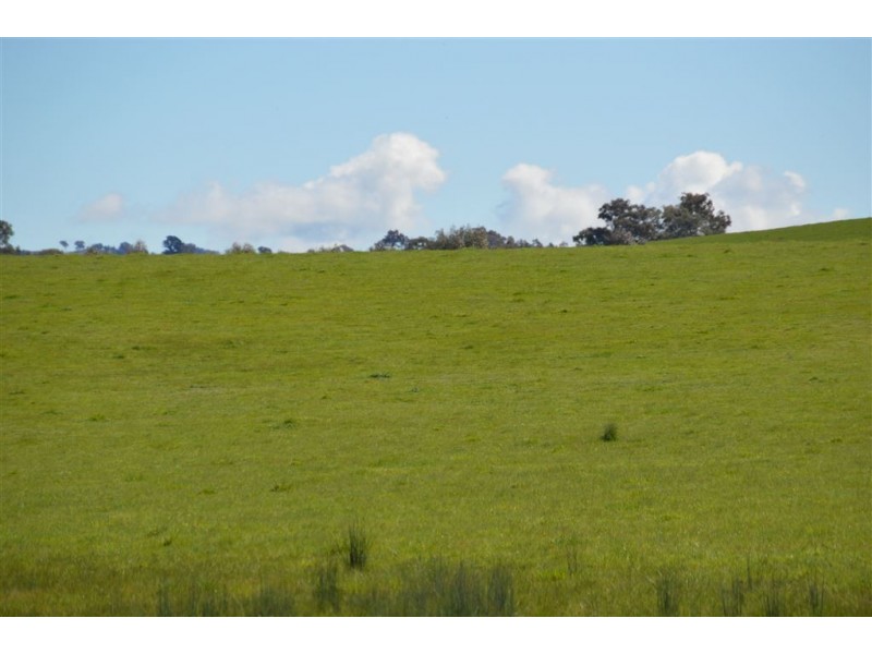 Gregadel Gregadoo via, Wagga Wagga NSW 2650