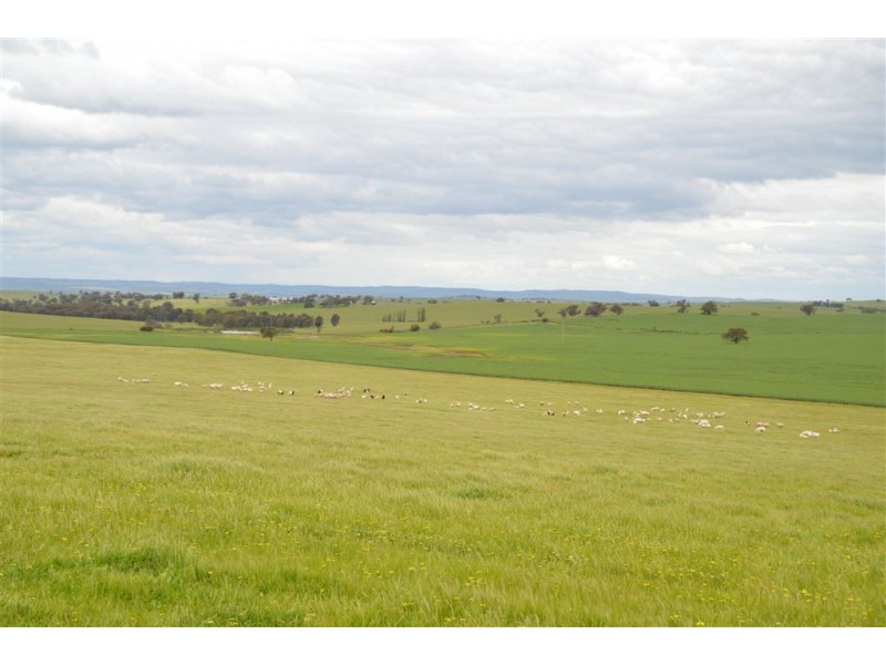 Twosey 96 Whitakers Lane, Marrar via, Wagga Wagga NSW 2650