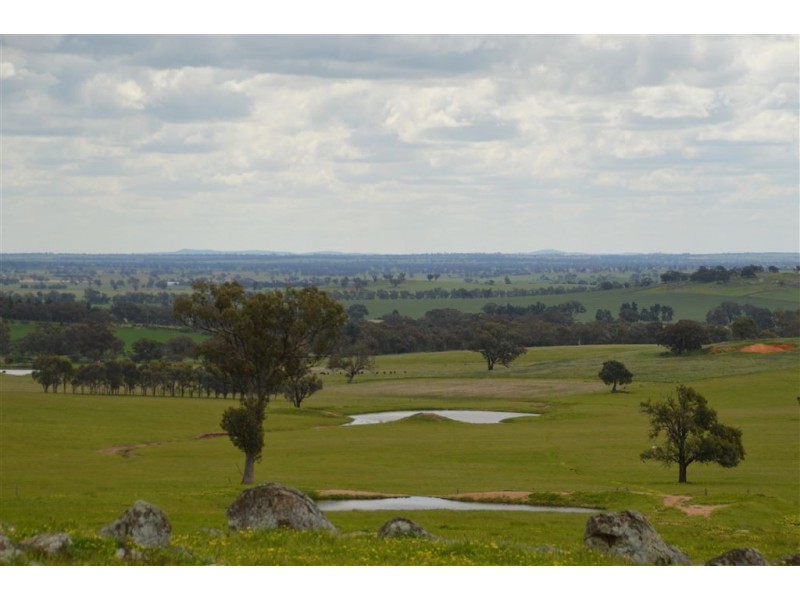 Twosey 96 Whitakers Lane, Marrar via, Wagga Wagga NSW 2650